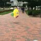 white-house-pokemon