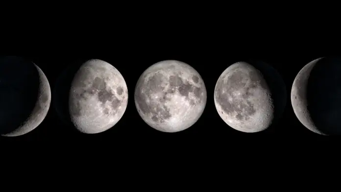Lunas