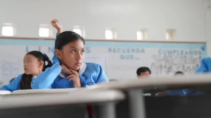 Suministrada por la escuela 