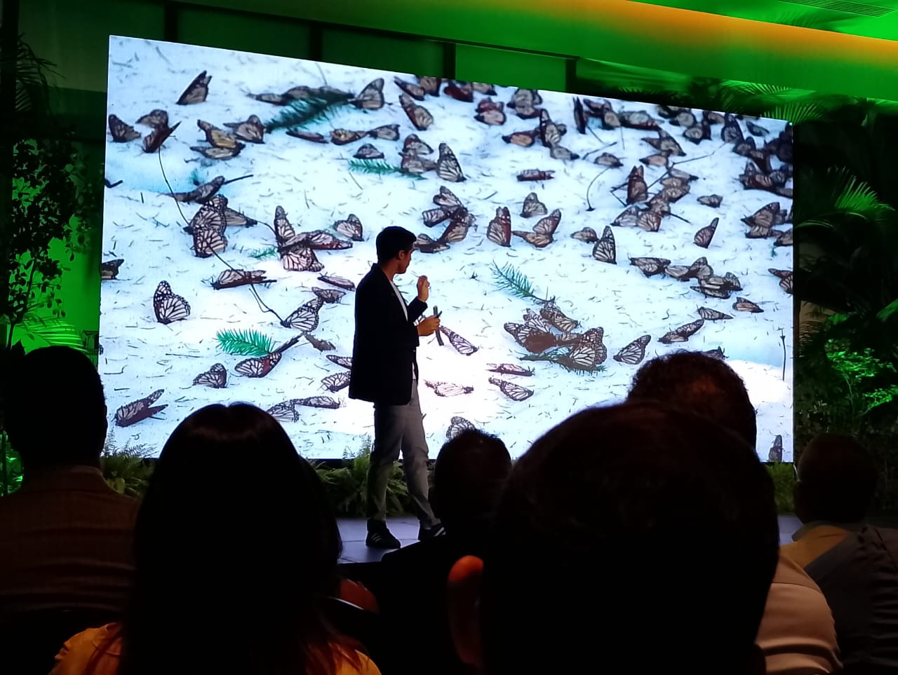 Jaime Rojo comparte su travesía “Tras las Monarcas” en República Dominicana