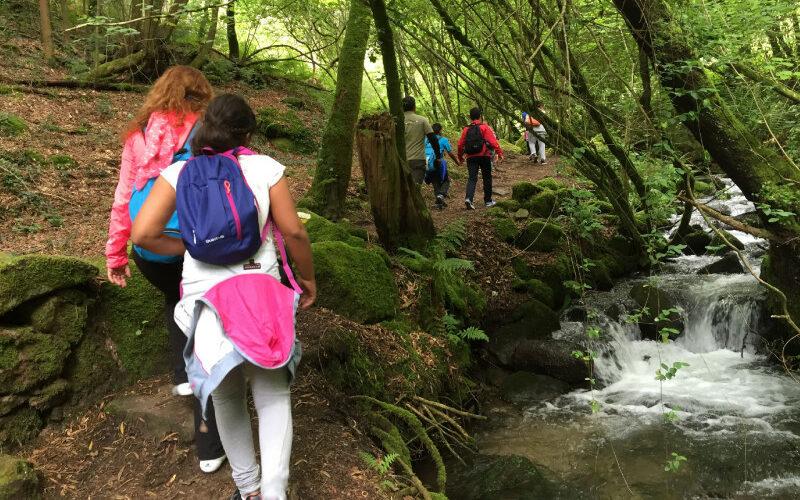 La Regional 8 de Educación emitió un nuevo protocolo para las excursiones escolares.Fuente externa