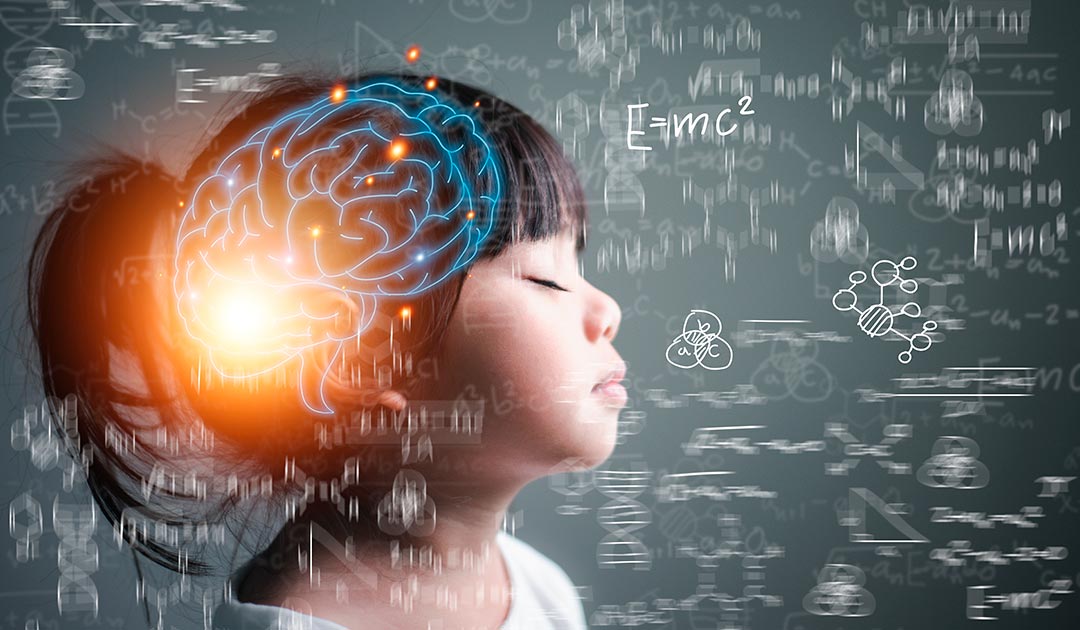 neuroeducacion-aprendizaje Por qué todos los docentes deberían entender cómo funciona el cerebro