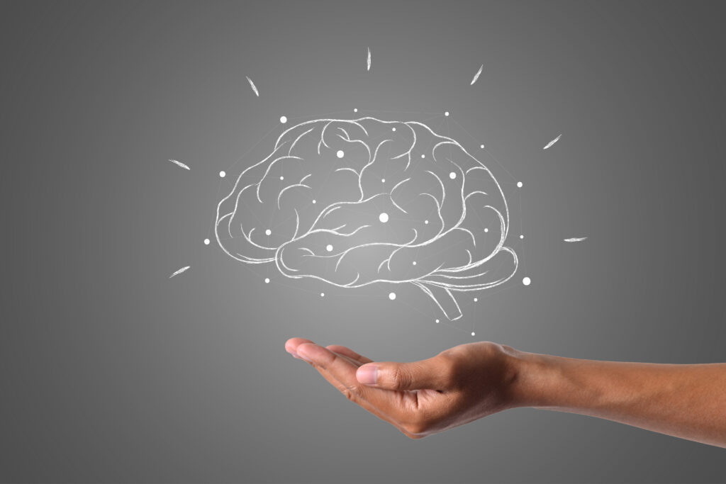 brain writes with white chalk is on hand, draw concept. El cerebro a lo largo de la vida: cinco etapas, múltiples transformaciones